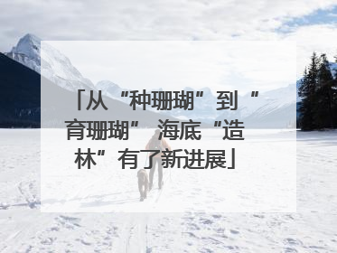 从“种珊瑚”到“育珊瑚” 海底“造林”有了新进展