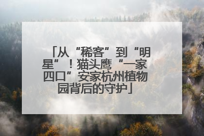 从“稀客”到“明星”！猫头鹰“一家四口”安家杭州植物园背后的守护