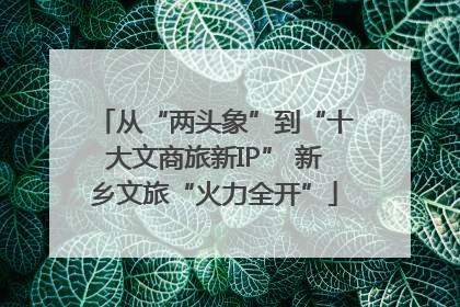 从“两头象”到“十大文商旅新IP” 新乡文旅“火力全开”