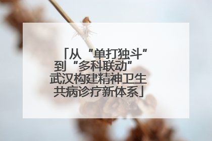 从“单打独斗”到“多科联动” 武汉构建精神卫生共病诊疗新体系