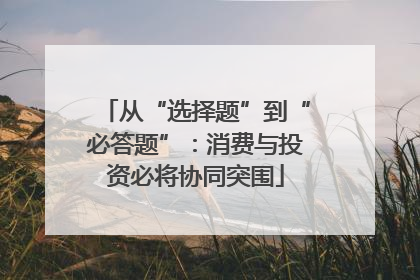 从“选择题”到“必答题”：消费与投资必将协同突围