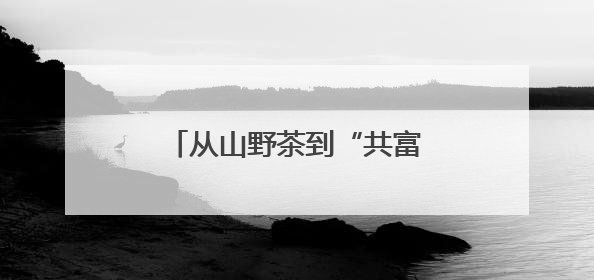 从山野茶到“共富芽” 浙江荒野茶的点“叶”成金路