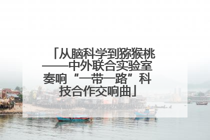 从脑科学到猕猴桃——中外联合实验室奏响“一带一路”科技合作交响曲