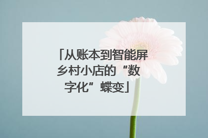 从账本到智能屏 乡村小店的“数字化”蝶变