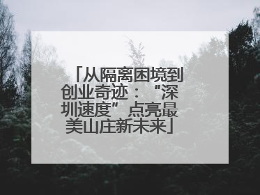 从隔离困境到创业奇迹：“深圳速度”点亮最美山庄新未来