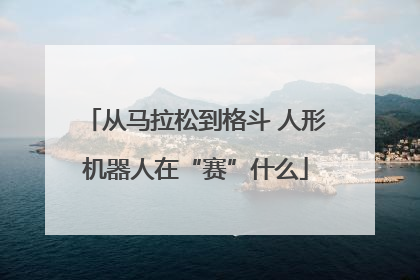 从马拉松到格斗 人形机器人在“赛”什么