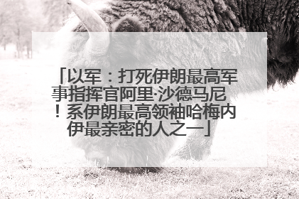 以军：打死伊朗最高军事指挥官阿里·沙德马尼！系伊朗最高领袖哈梅内伊最亲密的人之一