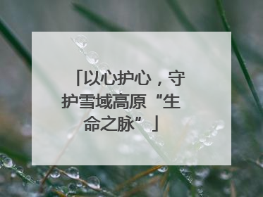 以心护心，守护雪域高原“生命之脉”
