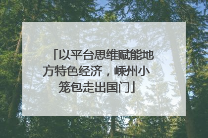 以平台思维赋能地方特色经济，嵊州小笼包走出国门
