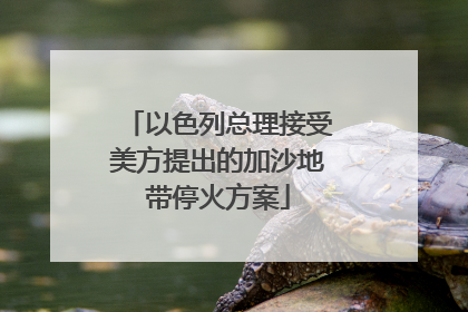 以色列总理接受美方提出的加沙地带停火方案