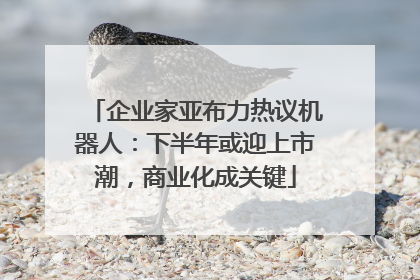 企业家亚布力热议机器人：下半年或迎上市潮，商业化成关键