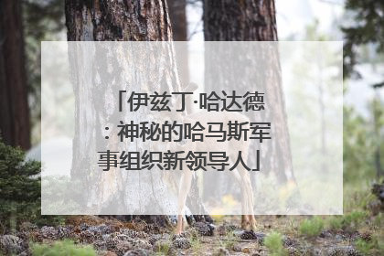 伊兹丁·哈达德：神秘的哈马斯军事组织新领导人