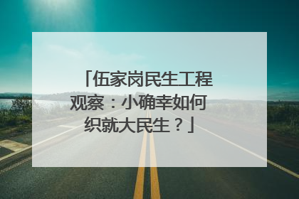 伍家岗民生工程观察：小确幸如何织就大民生？