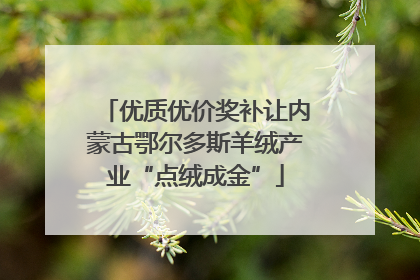 优质优价奖补让内蒙古鄂尔多斯羊绒产业“点绒成金”