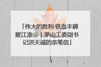 伟大的胜利·铁血丰碑耀江淮⑥｜茅山工委副书记洪天诚的亲笔信