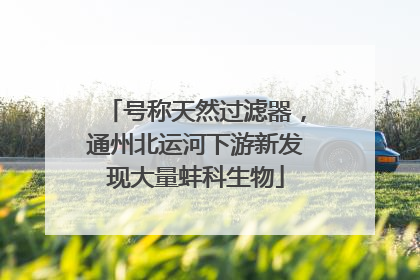 号称天然过滤器，通州北运河下游新发现大量蚌科生物