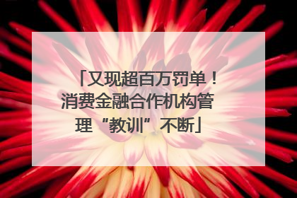 又现超百万罚单！消费金融合作机构管理“教训”不断
