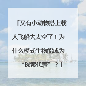又有小动物搭上载人飞船去太空了！为什么模式生物能成为“探索代表”？