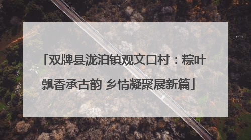 双牌县泷泊镇观文口村：粽叶飘香承古韵 乡情凝聚展新篇