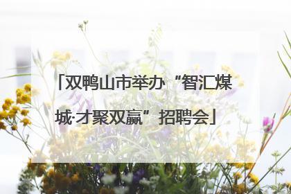 双鸭山市举办“智汇煤城·才聚双赢”招聘会