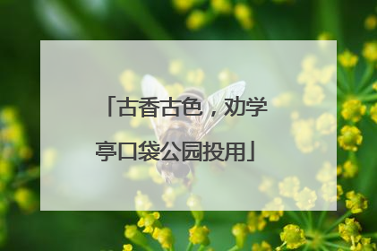 古香古色，劝学亭口袋公园投用