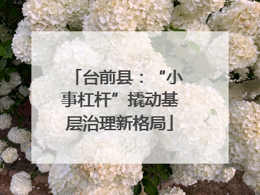 台前县：“小事杠杆”撬动基层治理新格局