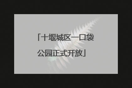 十堰城区一口袋公园正式开放