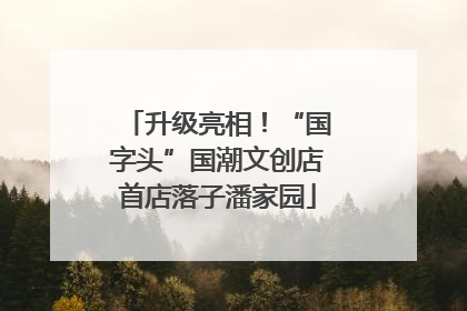 升级亮相！“国字头”国潮文创店首店落子潘家园