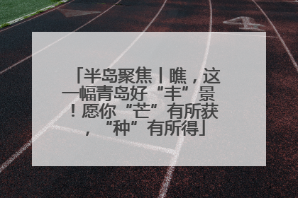 半岛聚焦丨瞧，这一幅青岛好“丰”景！愿你“芒”有所获，“种”有所得