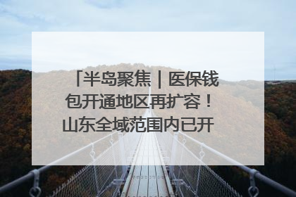 半岛聚焦｜医保钱包开通地区再扩容！山东全域范围内已开通，有何用处？如何操作？速戳→