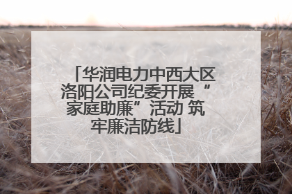 华润电力中西大区洛阳公司纪委开展“家庭助廉”活动 筑牢廉洁防线