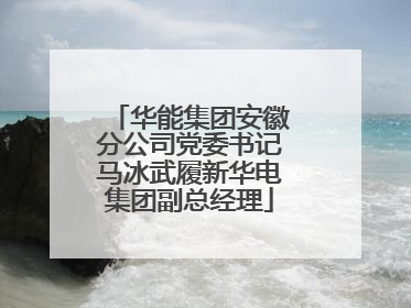 华能集团安徽分公司党委书记马冰武履新华电集团副总经理