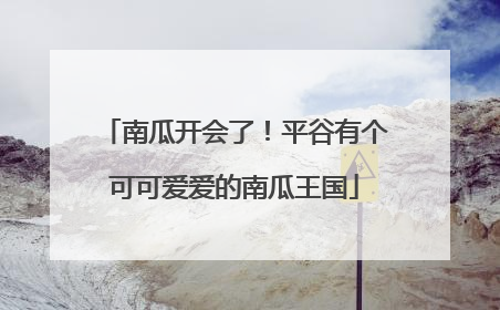 南瓜开会了！平谷有个可可爱爱的南瓜王国