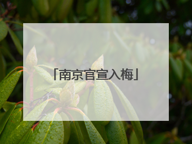 南京官宣入梅