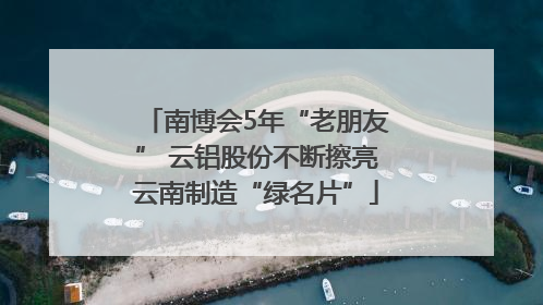 南博会5年“老朋友” 云铝股份不断擦亮云南制造“绿名片”