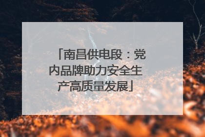 南昌供电段：党内品牌助力安全生产高质量发展