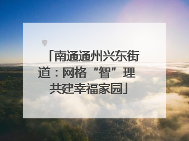 南通通州兴东街道：网格“智”理 共建幸福家园