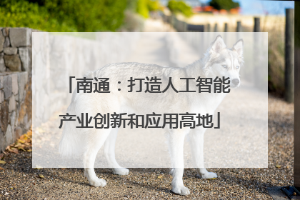 南通：打造人工智能产业创新和应用高地