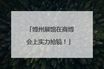 博州展馆在商博会上实力抢镜！
