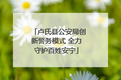 卢氏县公安局创新警务模式 全力守护百姓安宁