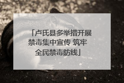 卢氏县多举措开展禁毒集中宣传 筑牢全民禁毒防线