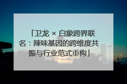 卫龙 × 白象跨界联名：辣味基因的跨维度共振与行业范式重构