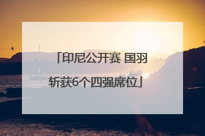 印尼公开赛 国羽斩获6个四强席位