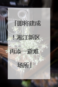 即将建成！湘江新区再添一避难场所