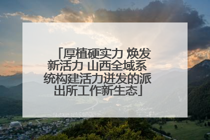 厚植硬实力 焕发新活力 山西全域系统构建活力迸发的派出所工作新生态