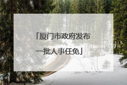 厦门市政府发布一批人事任免