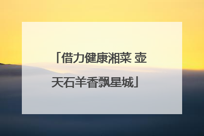 借力健康湘菜 壶天石羊香飘星城
