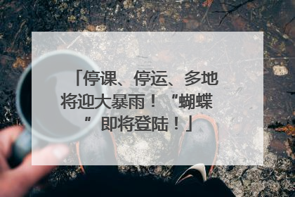 停课、停运、多地将迎大暴雨！“蝴蝶”即将登陆！
