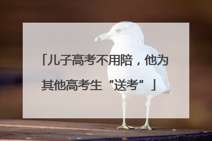 儿子高考不用陪，他为其他高考生“送考”