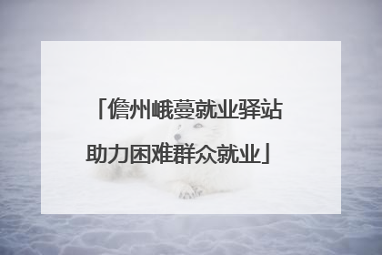 儋州峨蔓就业驿站助力困难群众就业